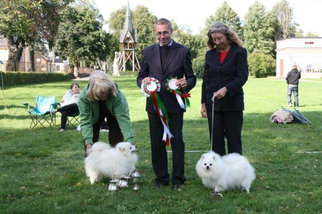 Club Show 2009 dommare Hans Almgren BIS Lampodegenio DellÀntica Etruria (import från Italien) BIM int nord uch Honey Queen`s Uri ägare till båda Annika Hjälm