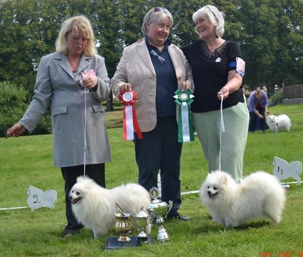 Club Show 2014 i Lövstabruk domare Moa Persson BIS such Honey Queen`s Opus, BIM int nord uch Honey Queen`s Uri ägare till båda Annika Hjälm 